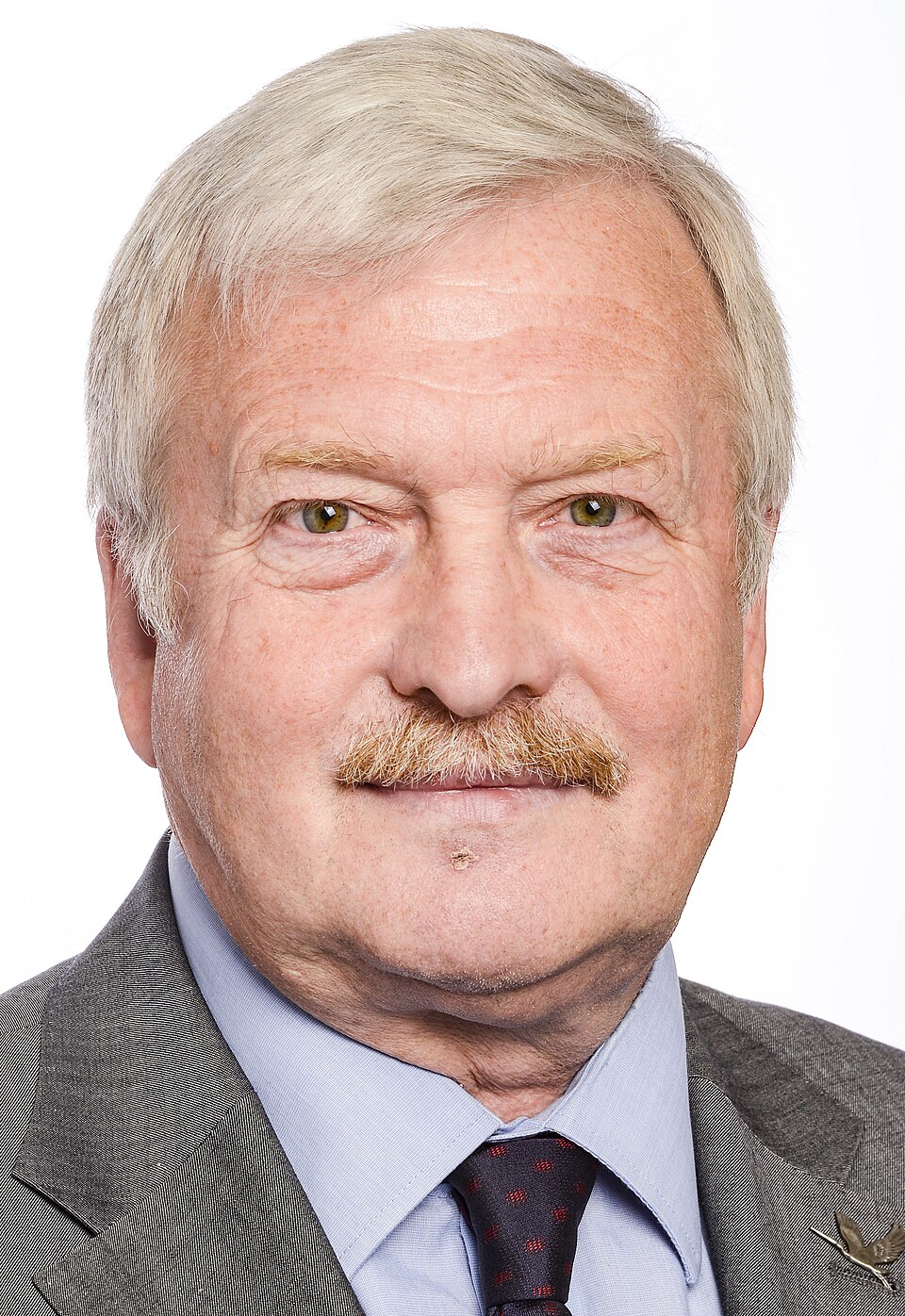 Bronis Ropė